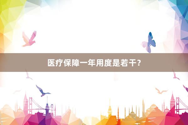 医疗保障一年用度是若干？