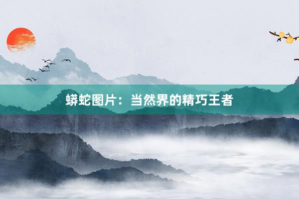 蟒蛇图片：当然界的精巧王者