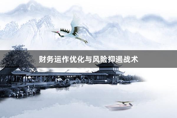 财务运作优化与风险抑遏战术