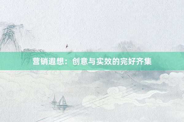 营销遐想：创意与实效的完好齐集